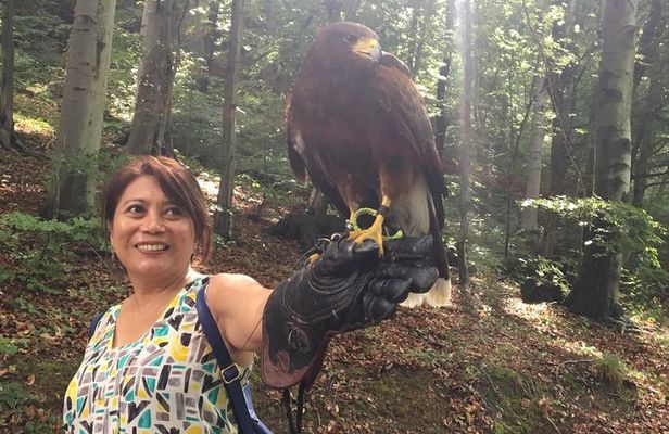 Medvednica Nature Park Falconry Tour from Zagreb