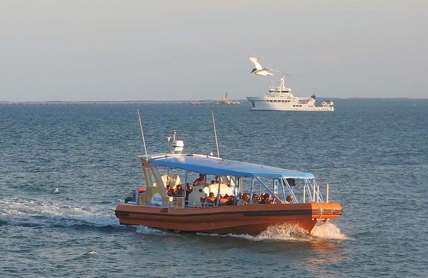 Discover Darwin Harbour 1 hour Darwin Harbour Cruise