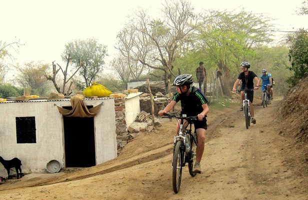 Jaipur Village Cycling Safari