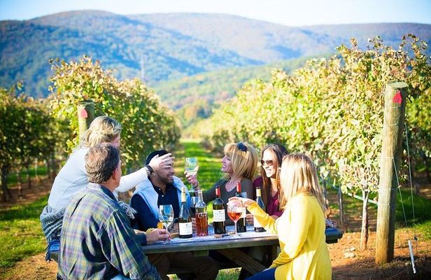 Maipo Valley Wine Tour with 4 vineyards from Santiago.