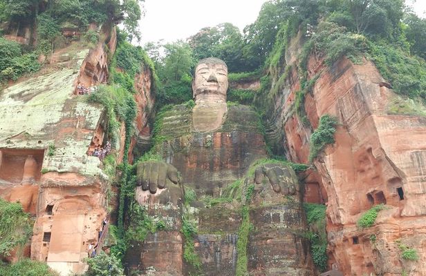 Chengdu Highlights Tour of Panda Base and Leshan Giant Buddha