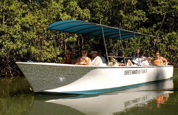 Damas Mangrove Boat Tour
