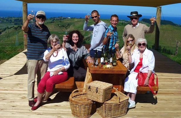 Napier Afternoon Winery, & Gin Tasting ( no gin Mon -Wed )
