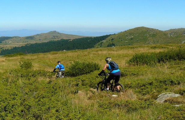 Vitosha Trail Hunter Bike Tour from Sofia