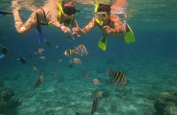 Snorkel Adventure at Cozumel! Transportation from Cancun & Playa Del Carmen