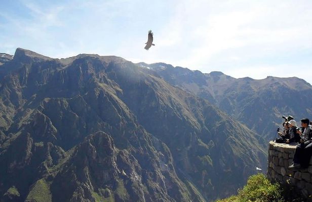 Tour Colca Canyon 2d -1n From Arequipa, Ending In Puno