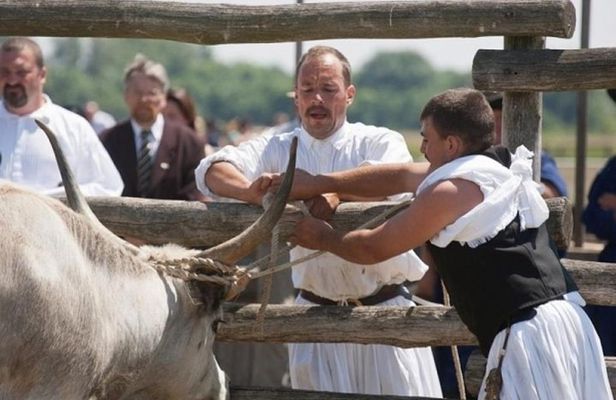 The puszta of Hungary, visit Hortobagy and Debrecen, private tour
