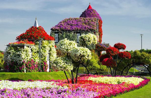 Miracle Garden and Global Village Dubai with transfers