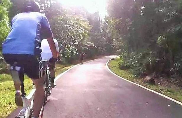 Private Half-Day National Botanic Garden Cycling Tour from Kuala Lumpur