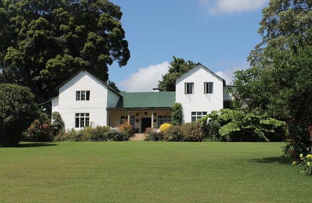 Day Tour To Kiambethu Tea Farm in Limuru