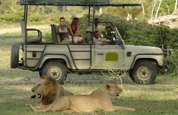 5Days Tanzania Camping Safari to Lake Manyara Serengeti And Ngorongoro Crater from Arusha