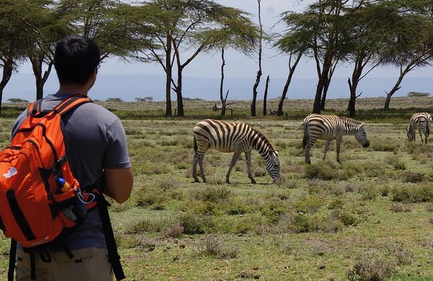 Nairobi Day Trip To Crescent Island Game Park - Lake Naivasha
