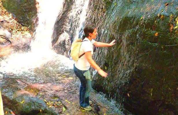 Ecological walk in sao paulo
