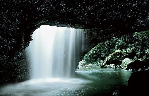 Natural Bridge Glow Worm Night Tour from Gold Coast
