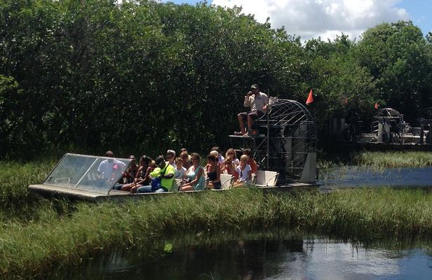 Everglades Tour from Miami