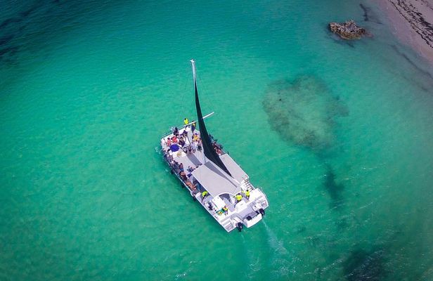 Up to 15 passengers Private Catamaran Sailing from Punta Cana