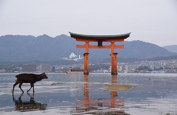Hiroshima Custom Private Walking Tour with Licensed Guide (4/8h)