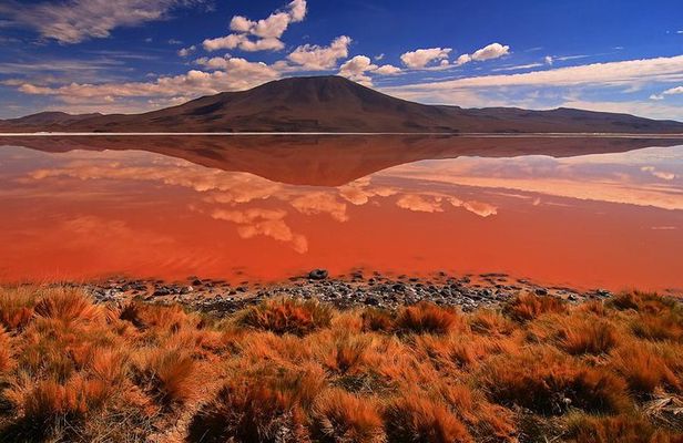 3 Days Uyuni salt flat and colored lagoons from Uyuni