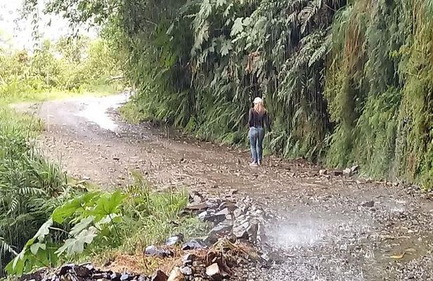 Private Tour to the Yungas Coroico The Death Route from La Paz