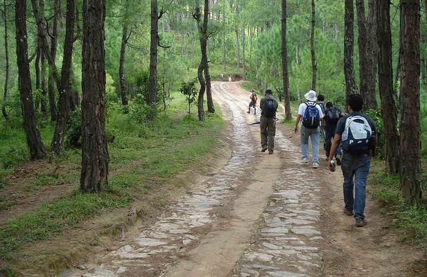 Champa Devi Hill Day Hike