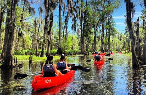 Small-Group Manchac Swamp Kayak Tour