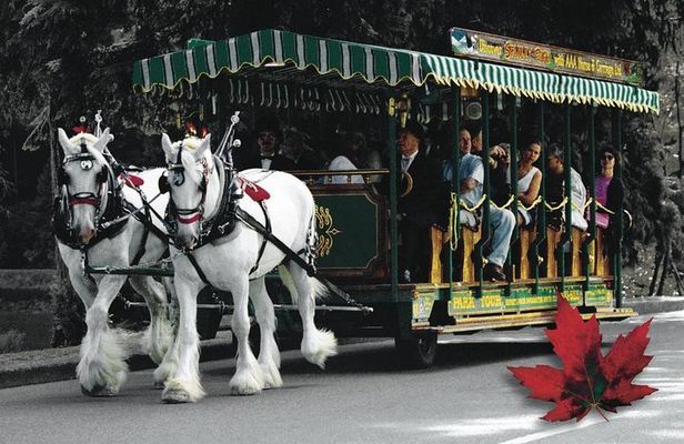 Stanley Park Horse-Drawn Tour