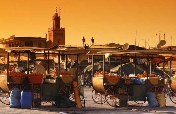 Full-Day Private Tour to Marrakech from Casablanca