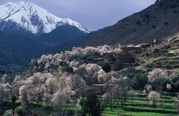 Atlas Mountains and 4 Valleys Private Tour from Marrakech