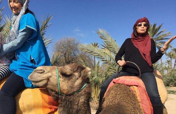 Camel Ride Tour in the Palm Grove of Marrakech