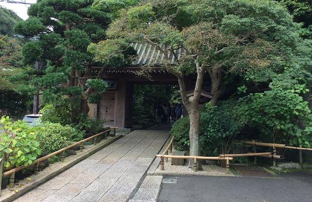 Kamakura Walking Tour with Local Guide Including Hokokuji Temple