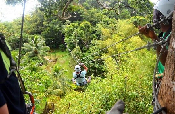 Trinidad Zipline Adventure