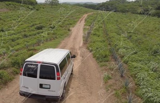 Private Tour to El Quelite Village and Tequila Distillery from Mazatlan