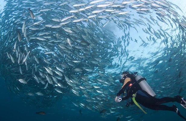 Tulamben Diving Tour Shipwreck USS Bali