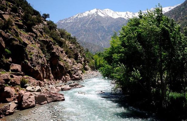 Private : Day trip to Ourika valley Atlas mountains