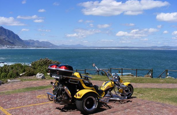 Hermanus and Whale Route Trike Tour from Cape Town