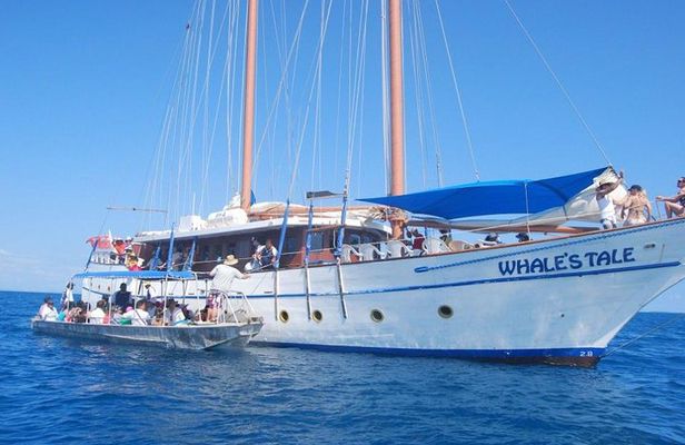 Fijian Islands and Snorkel Full-Day Whales Tale Cruise including Beach BBQ Lunch