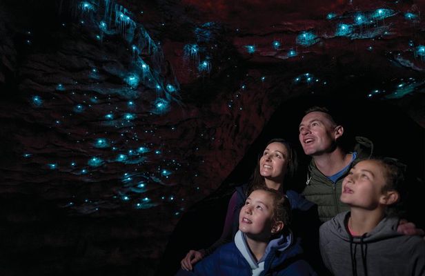 Te Anau Glow Worm Caves Tour