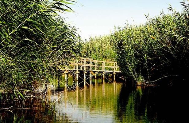 Shaumari Reserve and Azraq Wetland Private Full Day Tour from Amman
