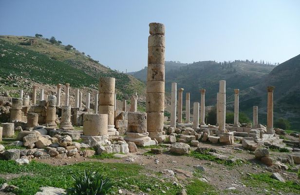 Private Half-Day Pella Tour from Amman