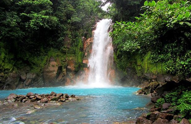 Río Celeste Nature Hike and Swimming experience at the blue river
