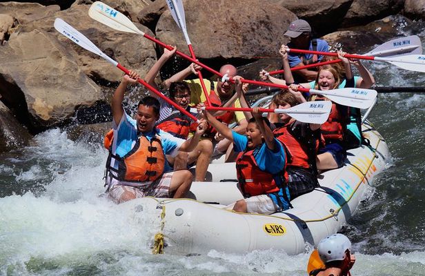 Durango Half Day Rafting Trip - Lower Animas River