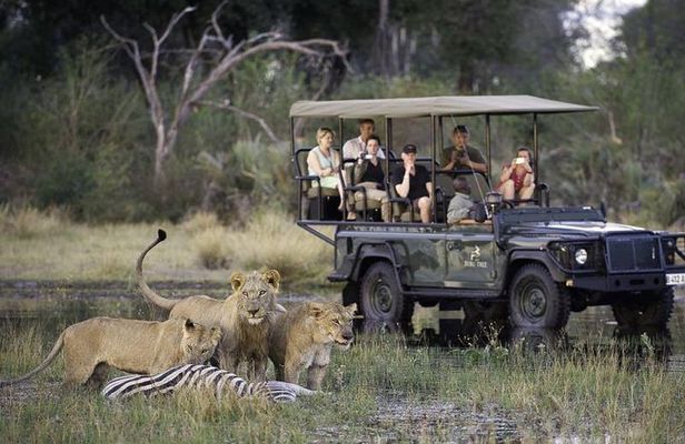 Chobe Extended Day Trip from Victoria Falls - Zimbabwe