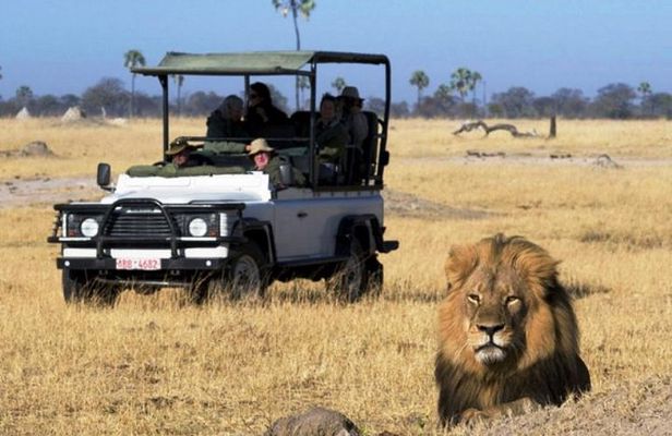 2-Day Camping Safari in Chobe National Park from Victoria Falls