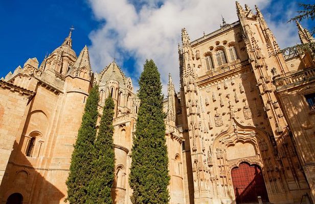 Private Tour to Avila and Salamanca from Madrid