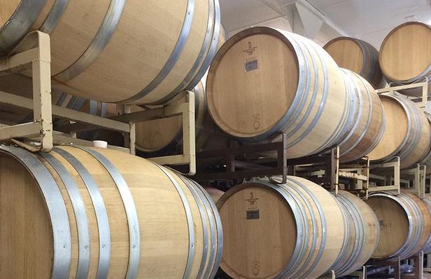 Temecula Wine Country Tour from San Diego