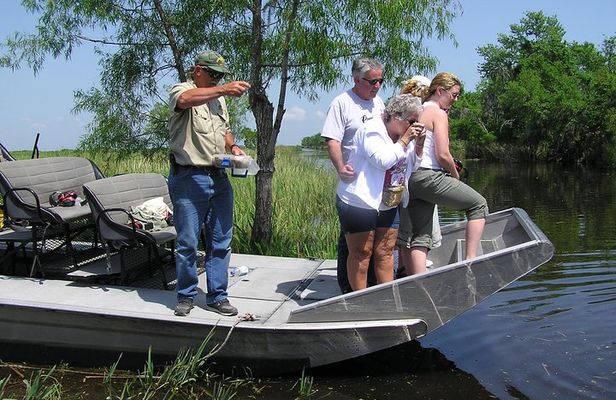 Airboat Swamp and Destrehan Plantation Tour from New Orleans