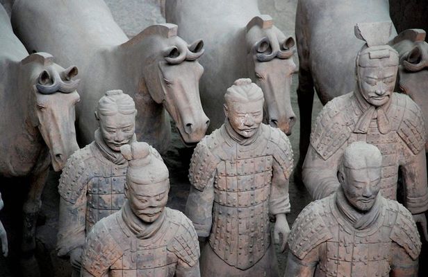 Terra-cotta Warriors, Big Wild Goose Pagoda, Ancient City Wall Private Tour