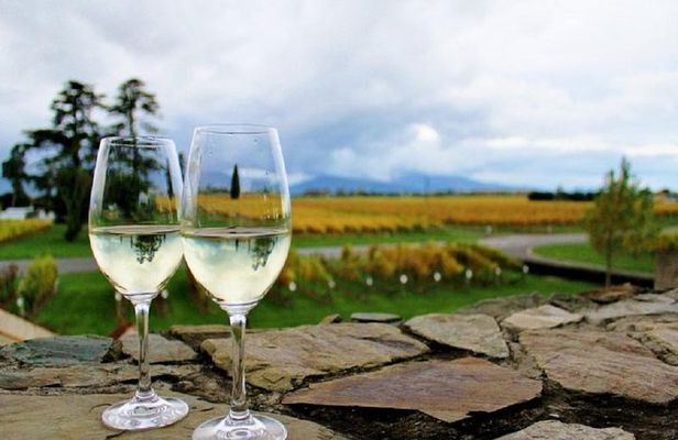 Progressive Wine and Gourmet Trail of Marlborough