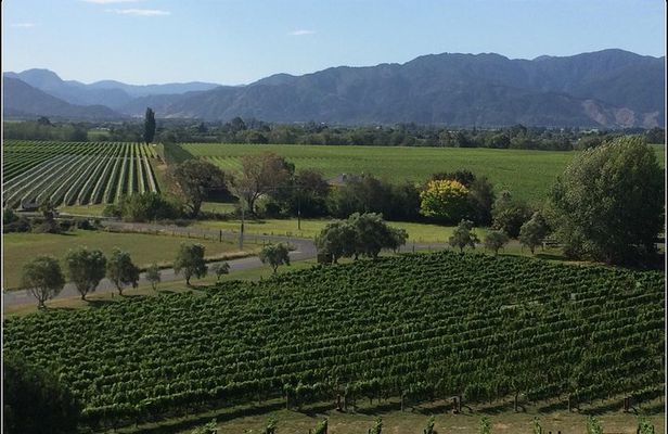 Private Wine Gourmet and Scenic Delights Tour from Picton