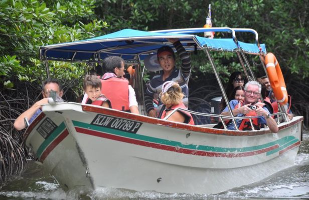 5 Hours Sharing Basis Kilim Mangrove Safari Boat Tour in Langkawi